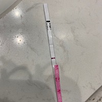 这是怀孕了吗？