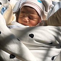 坐月子屁股痔疮外漏疼痛，肿了怎么办，坐着都疼，走路也疼