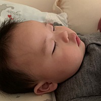 这小猪近几天总是爱哭爱闹，连吃个米糊都要全家总动员的哄着，又跳又叫的哄，吃奶又小，一次几十ml，有...