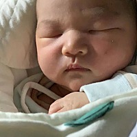 预产期提前5天出来的，猪宝宝