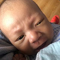 怎么办一个月都这样 求助求助