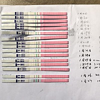 昨晚已经同房过了。今天还要吗？