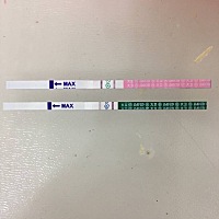 我这是怀孕了吗？排卵试纸跟早孕试纸都是两条线