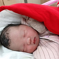 我的小公举