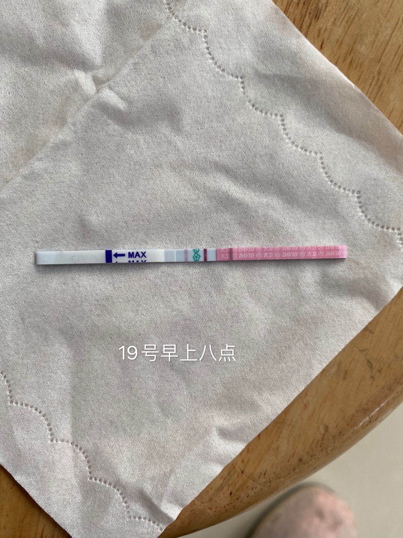 19号早上八点