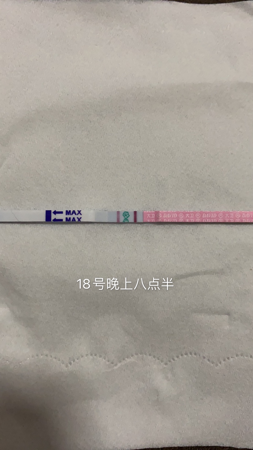 18号晚上八点半