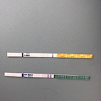 这个应该不会炸胡吧