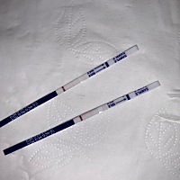 是不是有了呢？