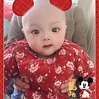 爱拍照的小朋友