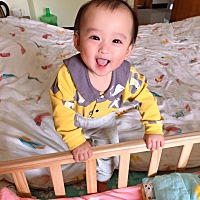 各位宝妈们，有什么牌子的奶粉可以推荐一下，打算断奶，自己也研究了好多，因没有经验，实在不知道怎么...