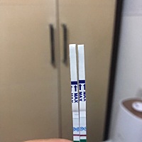 末次1月2号  我看到印了  我老公非说没有  难道是试纸自带的 ？？？
