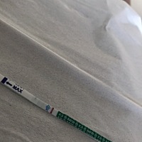 大家帮我看看是不是中了，1月3号月经18号和20号同房，我是不是测试的太早了？