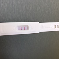 这是中奖了吗？