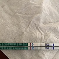 这是真的中了？今明二天是月经期。