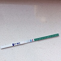 早上测了一下这样，这是怀了吗