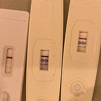 因为有一次测出两条杠，第二天测试就没有了，这个月测了三条，都是前两天测的