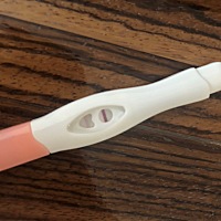 应该昨天来例假，没来，刚才测了一下，这是怀孕了吗🤰