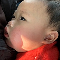 非常时期，这小猪包居然发烧了，之前拉了几天肚子，我们一直以为是出牙仔导致的，想带他去看医生，又怕...