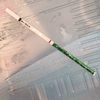月经最后一次是1.28现在已经拖了5.6天了 胸疼，测了还是白板，有没有相同的？