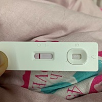 1.26排卵，现在还是白板😭😭😭