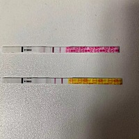 我和我老公都是提前三个月就开始吃爱乐维，老公有时候出差偶尔也没有吃，然后我偶尔用中药包泡脚，排卵...
