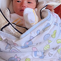 2020年1月26日晚上凌晨四点肚子开始痛，翻来覆去睡不着，干脆起床洗头洗澡，途中一直有阵痛，越来越痛 ...