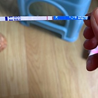 请问有人知道这个是不是怀孕了呢，末次月经是1月8号，之前测试都是白板，今早测试好像有两根线，比较模...