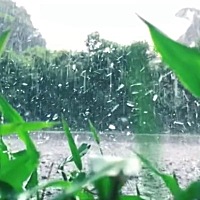 姨妈期间头痛，吐是什么情况呢？每个月都这样😭😭😭