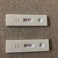 这是怀孕了吗