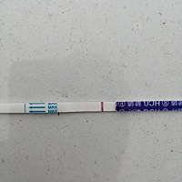 多囊，月经推迟一天，是有印嘛？眼睛都看瞎了