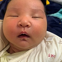 今天第十天了，中午终于把头发洗了，好舒服，出了大太阳，我家小茜茜宝贝吃了睡，睡了吃，还是挺乖的，...