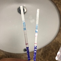 每天测已经分不清了，太难了