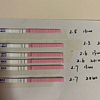 系统上说2.10才是排卵期呢，为啥提前了？