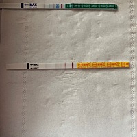 这样算是有了吗