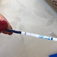 末次月经14号 宝宝们看一下这是怀孕了吗？最近一直低烧吃了好多天感冒药 会有影响吗？