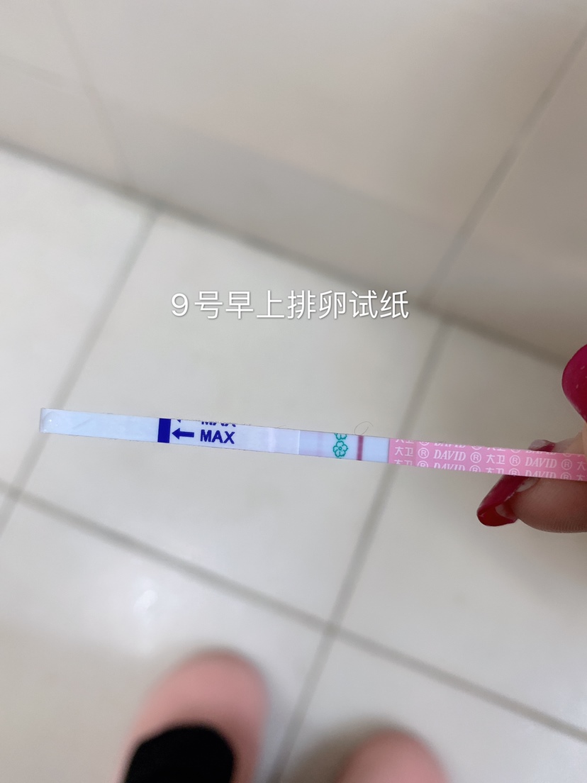 9号早上晨尿排卵试纸弱阳