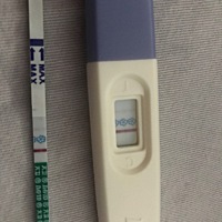 请大家帮忙看看 28号的排卵期