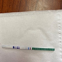 好弱的一条这是怀了嘛