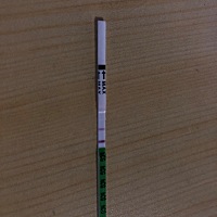 年前牙疼就去拔了，打了麻药也吃了不少消炎药，可是这个月姨妈一直不来，刚刚买了试纸好像是怀孕了，这...