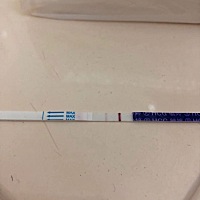 备孕三个月了 前面两个月可能太紧张了 掐着排卵期同房 完成任务一样 两个月都来姨妈了 过年这个月可能心...