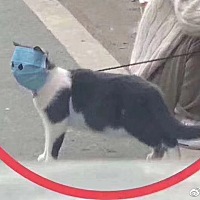 乳腺炎发烧了一天 第二天奶量变得很少怎么办