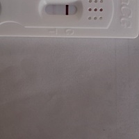 这是怀孕了吗