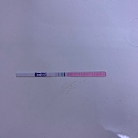 本人从春节开始备孕，1月31号测到强阳，但是因为那段时间没有禁欲，怕精子质量不太好，所以在转弱的时候...