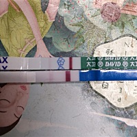 测了两次，请问是一条还是两条？