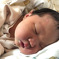 提前一个星期卸货啦 小米乐~💕