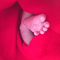 本来22号的预测期，但一直感觉会提前，不得不说女人的感觉太准了，2月5日宝宝就提前出来了！刚37周 2天...