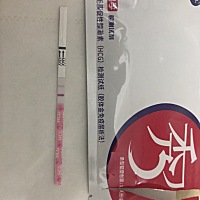情人节礼物🎁