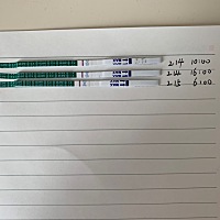 排卵日后第11天测的有点意念灰，今天第12天是不是有点加深了？前年生化了一个，是不是宝宝回来了？这次...