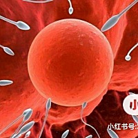 试管婴儿技术总共分为三代，每一代都有它的适用范围： 第一代试管婴儿（体外受精-胚胎移植技术），主要...