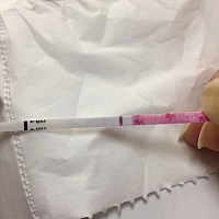 上个月22号来的